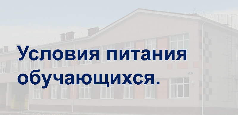 Информация об условиях питания обучающихся.